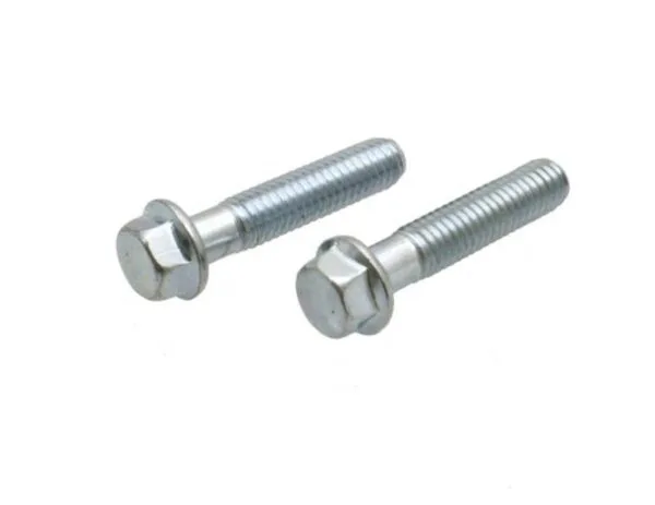 M6-1.00 x 28 Bolt - Set of 2