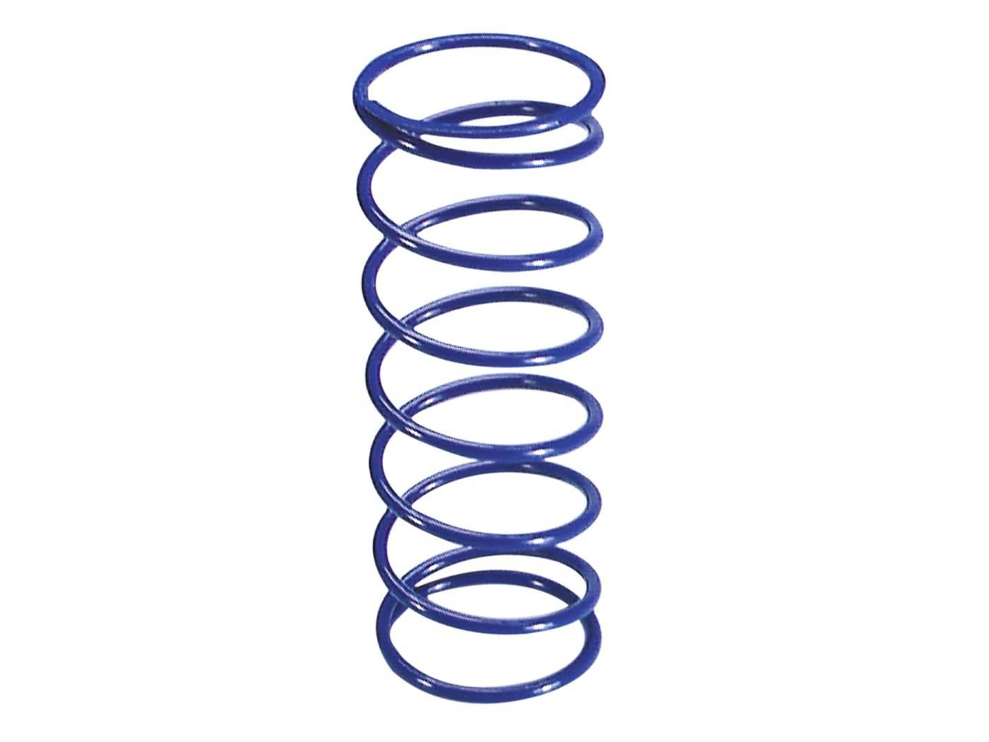 Polini torque spring+15% for Honda 250 -1998, Kymco Grand Dink, People, Xciting 250