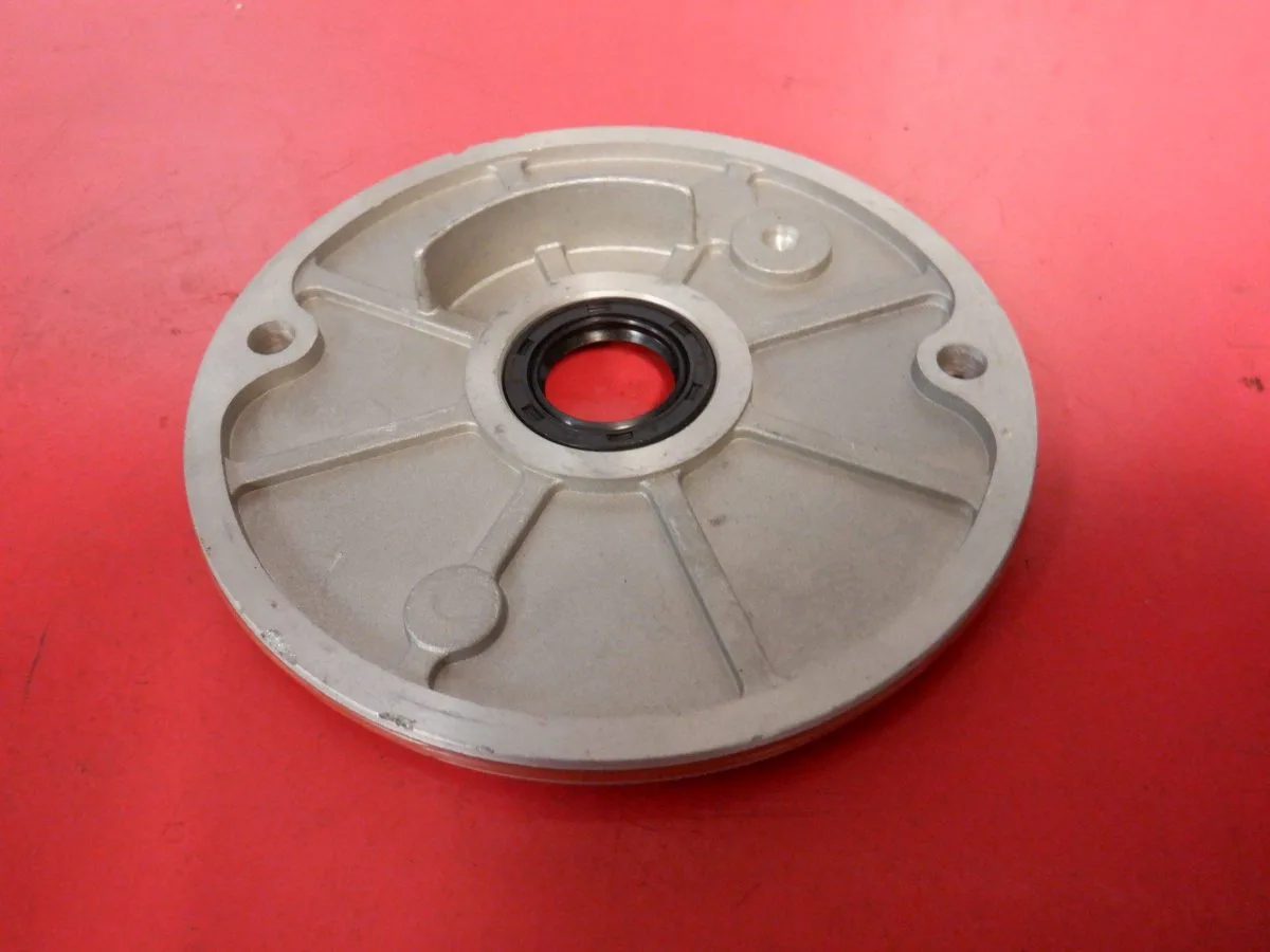 CAM CHAIN ACCESS PANEL W/ SEALS INTALLED – F/N/R MOTORS FOUND ON ASW, TRAILMASTER AND HAMMERHEAD GTS