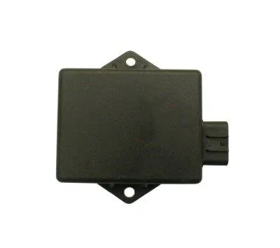 TRAILMASTER OEM 300CC CDI (6 PIN)